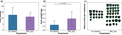 Belgian endive-derived biostimulant activity in Arabidopsis, lettuce and sweet pepper at different developmental stages, environmental conditions, and application methods