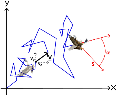 Modelling the movements of organisms by stochastic theory in a comoving frame