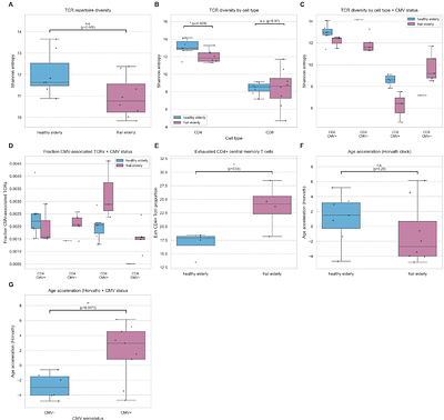 The T cell receptor repertoire captures healthy aging and CMV independently from epigenetic clocks