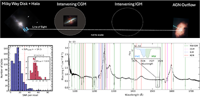 High-S/N Quasar Observations with HST/COS: Deep Fields for Spectroscopy