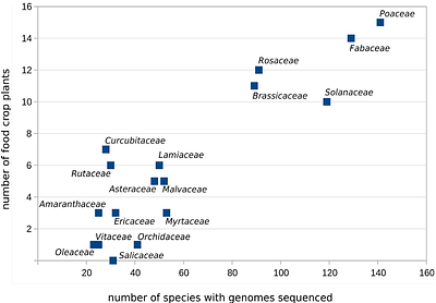 PubPlant: a continuously updated online resource for sequenced and published plant genomes