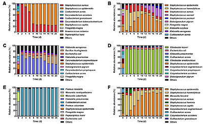 Development of a continuous bioreactor to maintain stable nasal microbiomes from swab specimens and synthetic communities