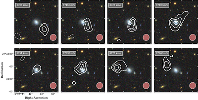 The Distribution of Atomic Hydrogen in the Hosts Galaxies of FRBs