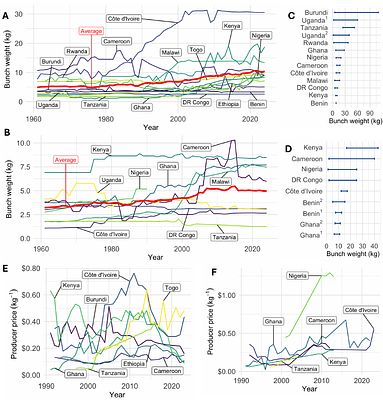 Sustaining smallholder banana production in Banana Bunchy Top Disease endemic landscapes: integrating clean seed, roguing, and farmer training