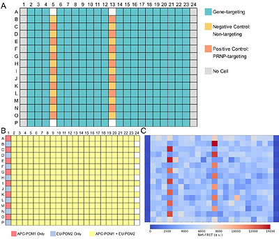Genome-wide arrayed CRISPR activation screen for prion protein modulators
