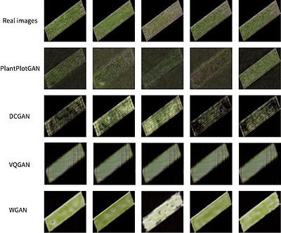 PlantPlotGAN: A Physics-Informed Generative Adversarial Network for
  Plant Disease Prediction