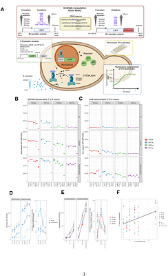 Trans-acting Determinants of Gene Expression: Effects of Transcription Factor Affinity, Abundance, and Localization
