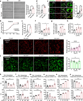 Photo-downregulation of SIRT4 mitigates aging in mice by enhancing H3K9ac via fatty acid metabolism