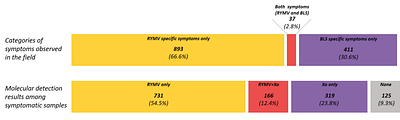 Symptom observation underestimates co-infections: insight from viral and bacterial diseases in rice fields in Burkina Faso