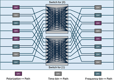 A Universal Quantum Information Preserving Photonic Switch for Scalable Quantum Networks