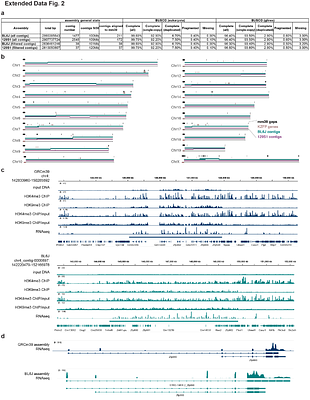 Young KRAB-zinc finger gene clusters are highly dynamic incubators of ERV-driven genetic heterogeneity in mice