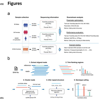 NASTRA: Innovative Short Tandem Repeat Analysis through Cluster-Based Structure-Aware Algorithm in Nanopore Sequencing Data