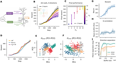 Unified Policy Value Decomposition for Rapid Adaptation
