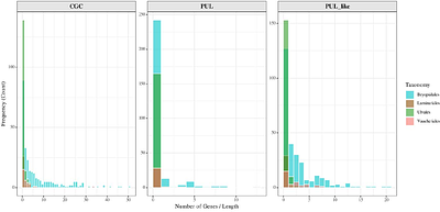 Genomic Insights into Bacterial Communities of Coenocytic Algae Using Metagenome Assembled Genomes