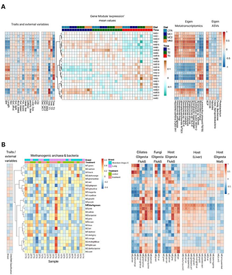 OmniCorr: An R-package for visualizing putative host-microbiota interactions using multi-omics data