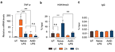 H3K4me3 is a post-transcriptional histone mark