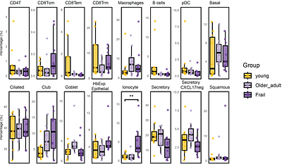 Ageing of the Upper Airway Epithelial Niche Limits Tissue-Resident T Cell Immunity