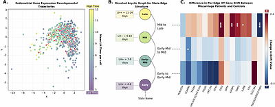 GOTFlow: Learning Directed Population Transitions from Cross-Sectional Biomedical Data with Optimal Transport