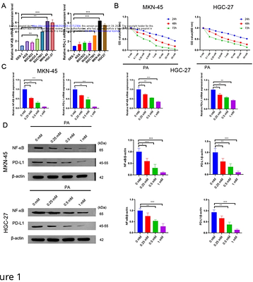 Patchouli alcohol suppresses gastric cancer growth and immune evasion via inhibition of the NF-κB/PD-L1 axis