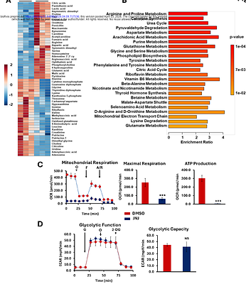 PRMT5 as an Epigenetic Target for Group 3 (MYC-driven) Medulloblastoma