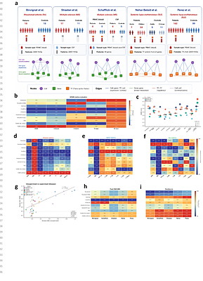 FloREN: Decoding Immune Regulatory Networks through Interpretable Graph Transformer Patient Representations.