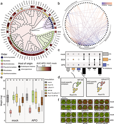 Plant specialised metabolites modulate the molecular signatures of host-bacteria and bacteria-bacteria interactions