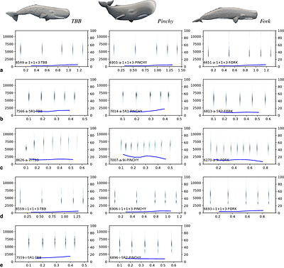 The phonology of sperm whale coda vowels