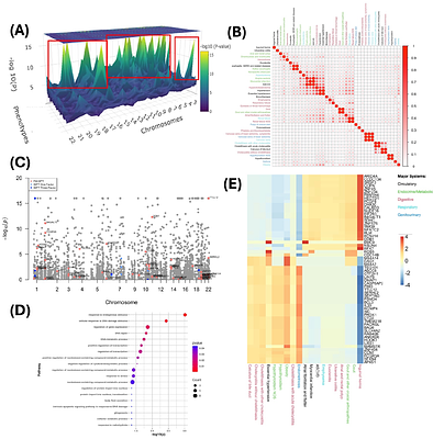 FM-GPT: Bayesian fine mapping for phenome-wide transcriptome-wide association studies