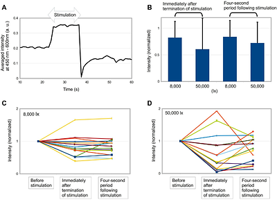 Ultrafast light sensing mediated by dermal iridophores in the silverside fish Hypoatherina tsurugae