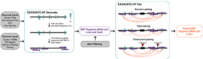 EXCAVATE-HT: A Bioinformatic Pipeline to Identify Targetable Genomic Variants for Allele-Specific Editing