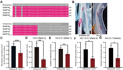 Heterozygote Advantage of a Single-Copy SNAP18 Truncation Allele Enables Dominant SCN Resistance and Yield Preservation in Soybean