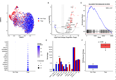 Enhanced BCMA Antigen Density Increases Trogocytosis and Attenuates CAR T cell Function