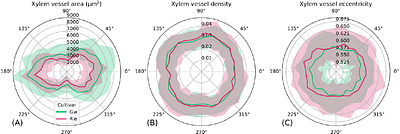 Quantification of anatomical changes in young grapevine wood over time and in response to Neofusicoccum parvum with image processing