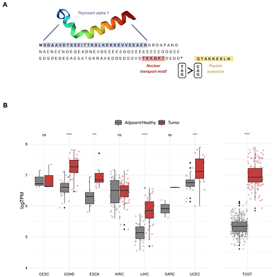 Oncogenes and tumor suppressor genes are enriched in stop-loss mutations generating protein extensions