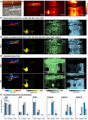 Photoacoustic Fingerprinting for Robust Molecular Imaging