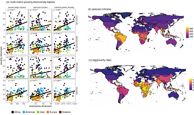 Systemic bio-inequity links poverty to biodiversity and induces a conservation paradox