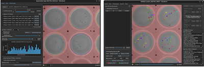 New idtracker.ai: rethinking multi-animal tracking as a representation learning problem to increase accuracy and reduce tracking times