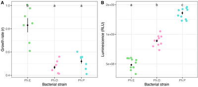 Priority Effects Can Shape Strain-Level Community Assembly and Function in a Bioluminescent Symbiosis