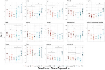 Sex-biased expression in whole bodies, tissues and cell-types: patterns across and within levels