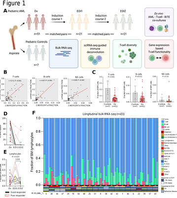 Bone marrow lymphocyte dynamics during chemotherapy in pediatric acute myeloid leukemia