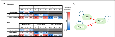 Multidimensional components of impulsivity during early adolescence: Relationships with brain networks and future substance-use in the Adolescent Brian and Cognitive Development (ABCD) study