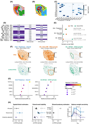 GatorPrism: Prototype-Conditioned Routing across Coalition Graph Experts for Spatial Multi-Omics Integration