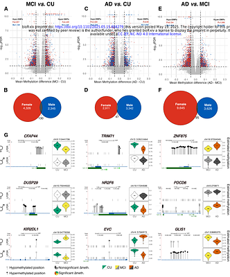 Sex-Specific Differential DNA Methylation in Mild Cognitive Impairment and Alzheimers Disease