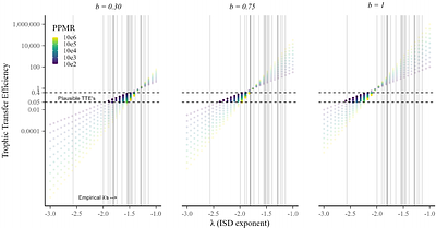 Temperature and predation alter metabolic scaling without changing size-based structure community in freshwater macroinvertebrates