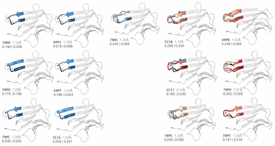 Density-guided AlphaFold3 uncovers unmodelled conformations in β2-microglobulin