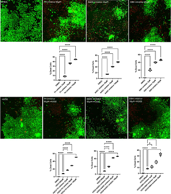 Cardiomyocytes possess an intrinsic catecholaminergic machinery that regulates cellular homeostasis and electrophysiological stability