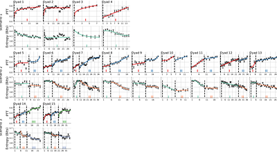 Emergent Leadership Driven by Asymmetric Stability Shapes Learning in Dyadic Motor Coordination