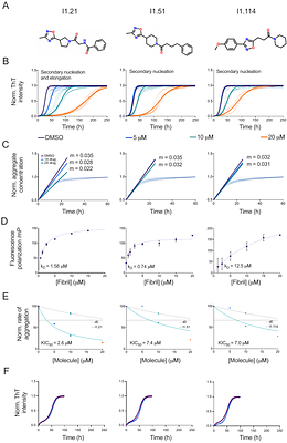 Design of Tau Aggregation Inhibitors Using Iterative Machine Learning and a Polymorph-Specific Brain-Seeded Fibril Amplification Assay