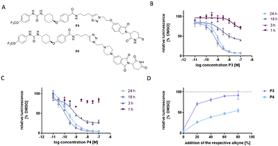 Click Chemistry Enables Rapid Development of Potent sEH PROTACs Using a Direct-to-Biology Approach