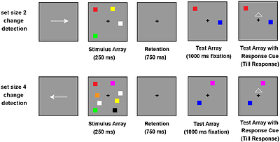Mechanisms of Output Gating for visual working memory